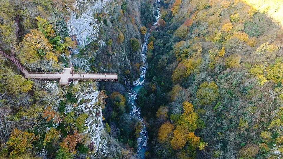 Каньон Окаце из Кутаиси: парк Дадиани и подвесная тропа над ущельем — фото 1