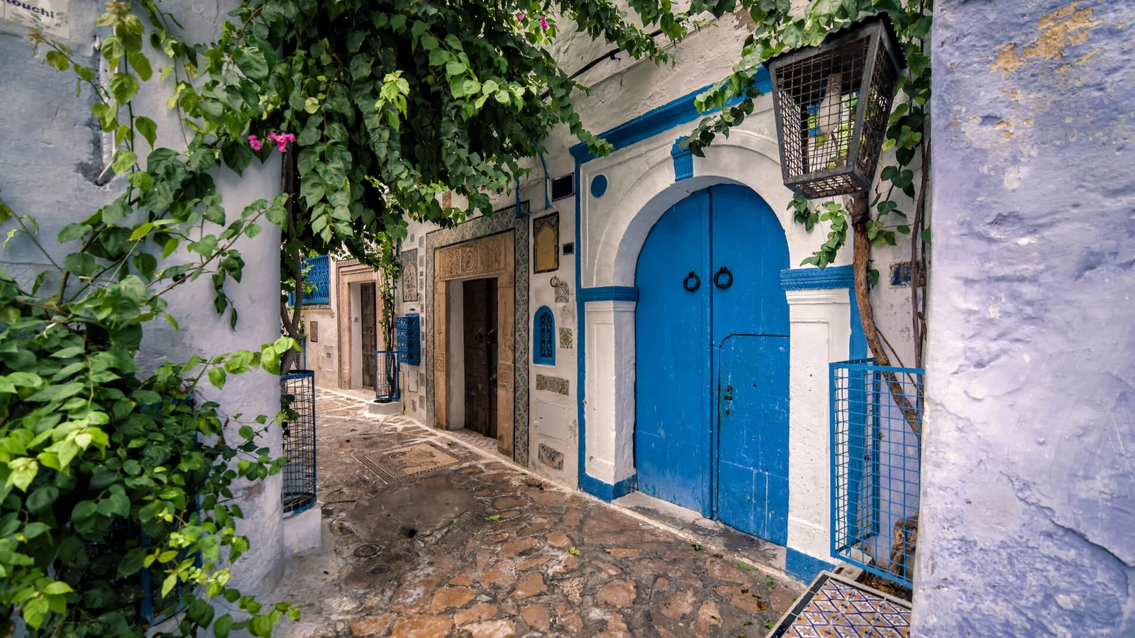 Хаммамет за два дня: старая медина и сады у моря — фото 1