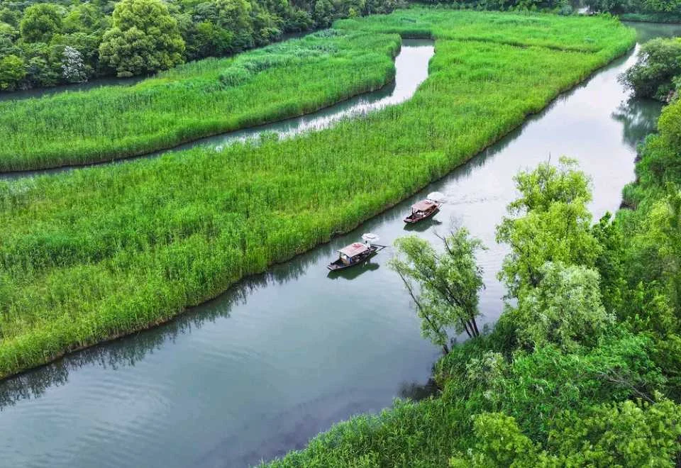 Водно-болотный парк Сиси: отдельный зелёный день в Ханчжоу — фото 1