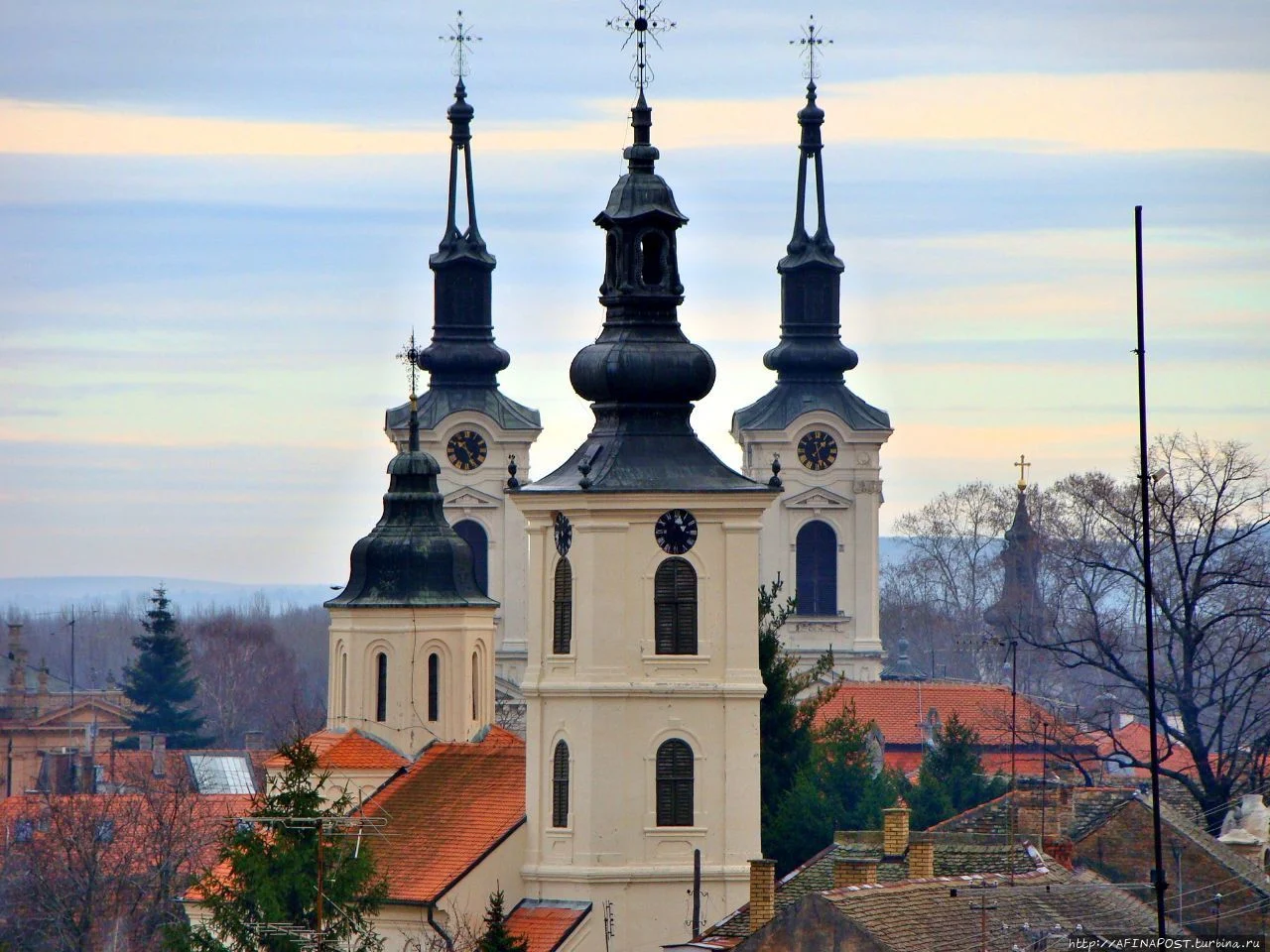 Сремски-Карловци на день: площадь, Дунай и винная традиция — фото 1