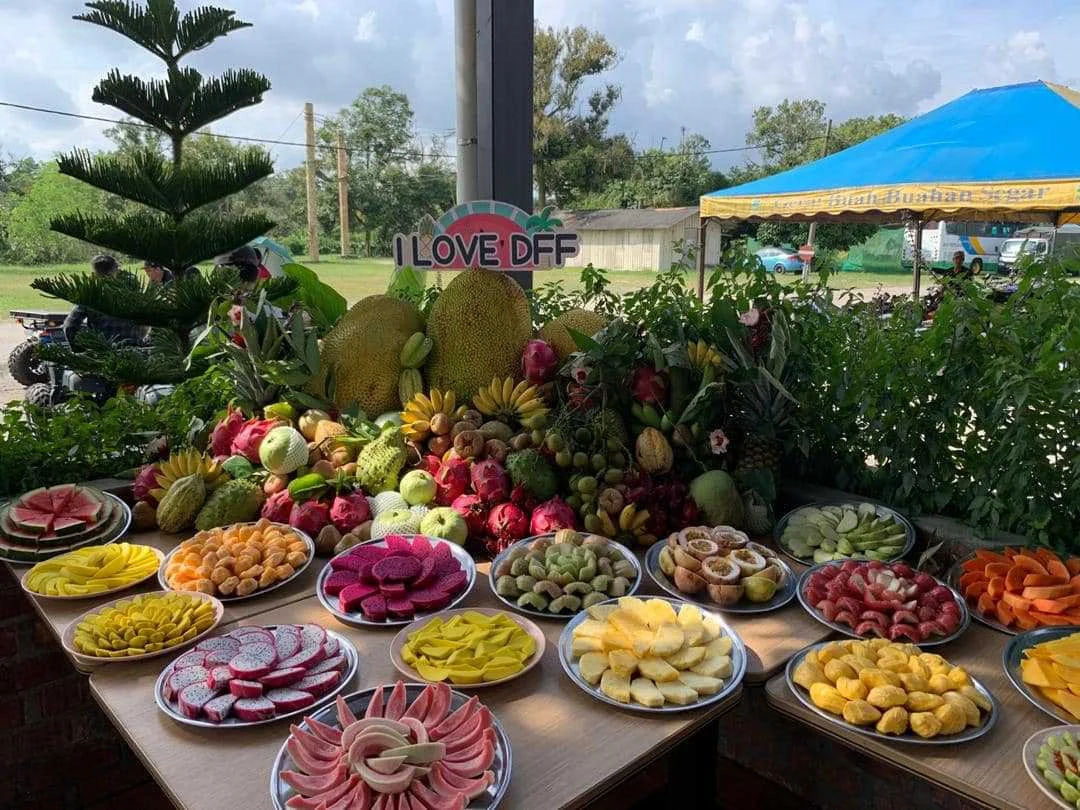 Фруктовая подача на ферме Desaru Fruit Farm