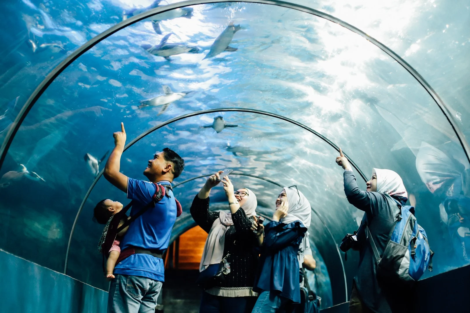 Прозрачный тоннель Underwater World Langkawi