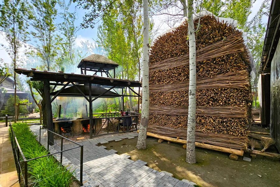Конигил из Самарканда: бумажная мастерская и прогулка вдоль воды — фото 1