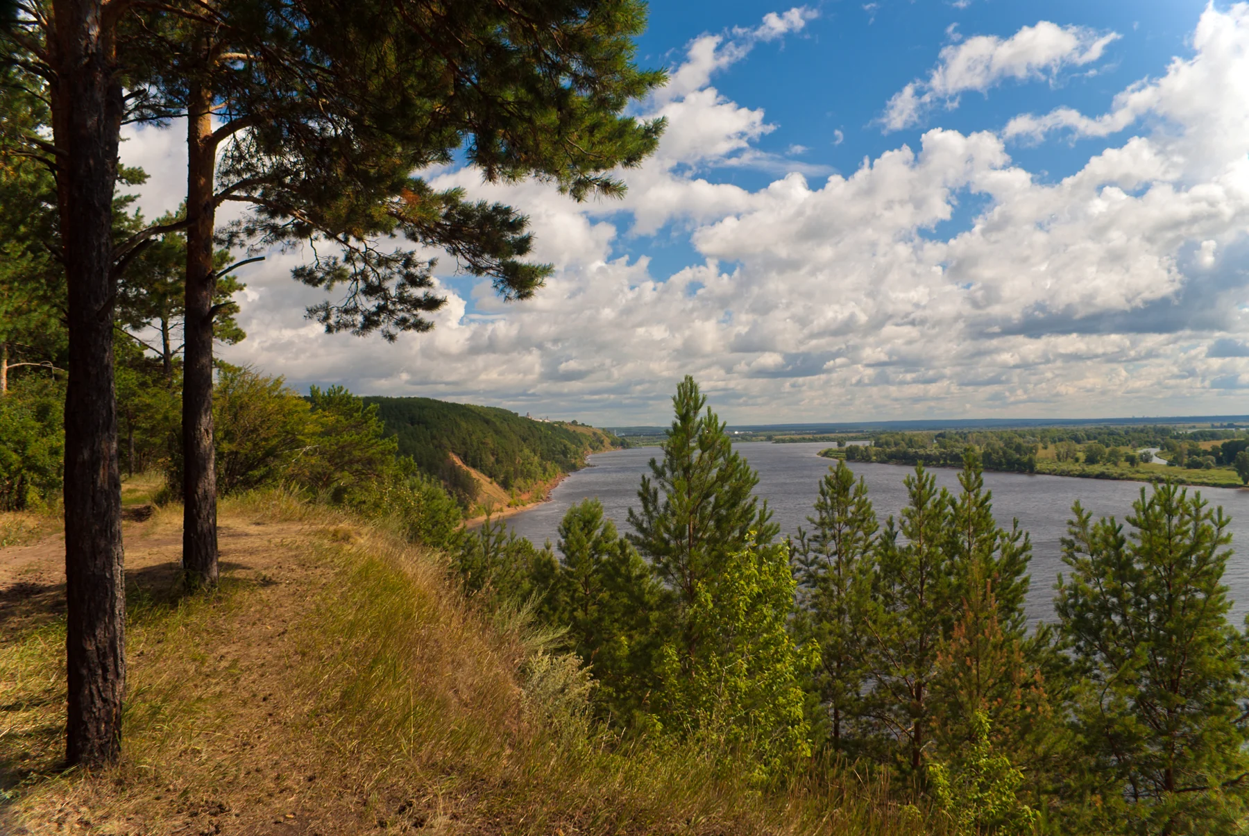 Сосны и речная панорама в Нижней Каме