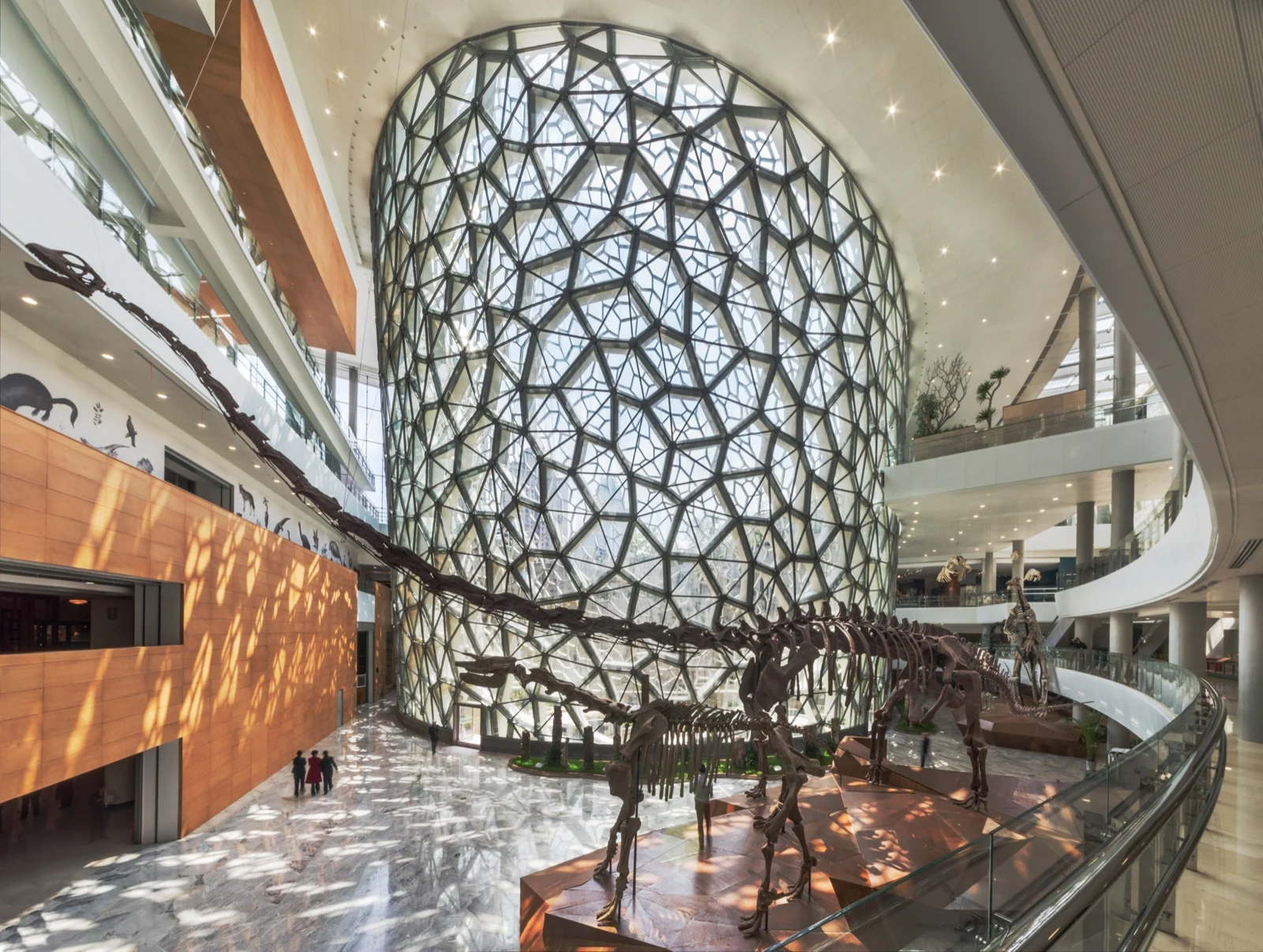 Шанхайский музей естественной истории: динозавры, живой мир и здание-спираль — фото 1