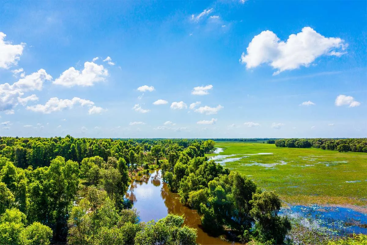 Водно-болотный ландшафт Чамчима