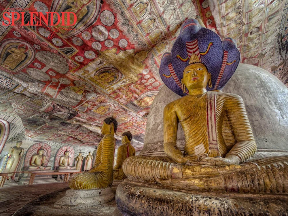 Дамбулла на один день: пещерные храмы над равниной — фото 1