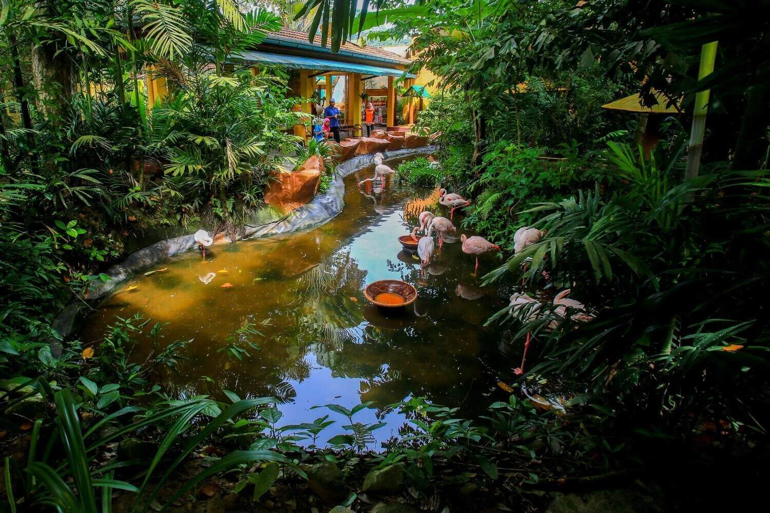 Зелёная территория Langkawi Wildlife Park