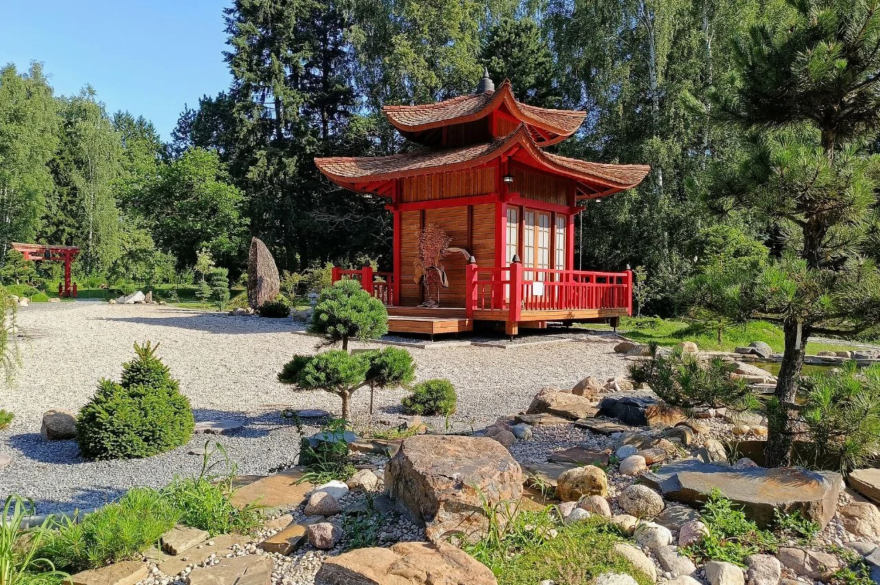 Ботанический сад Минска: полдня среди коллекций и старых аллей — фото 1