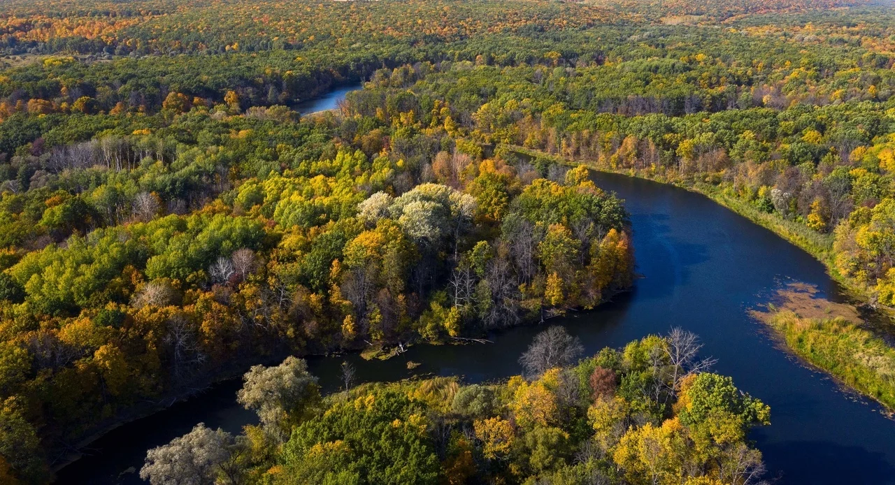 Лес и вода Воронинского заповедника с высоты