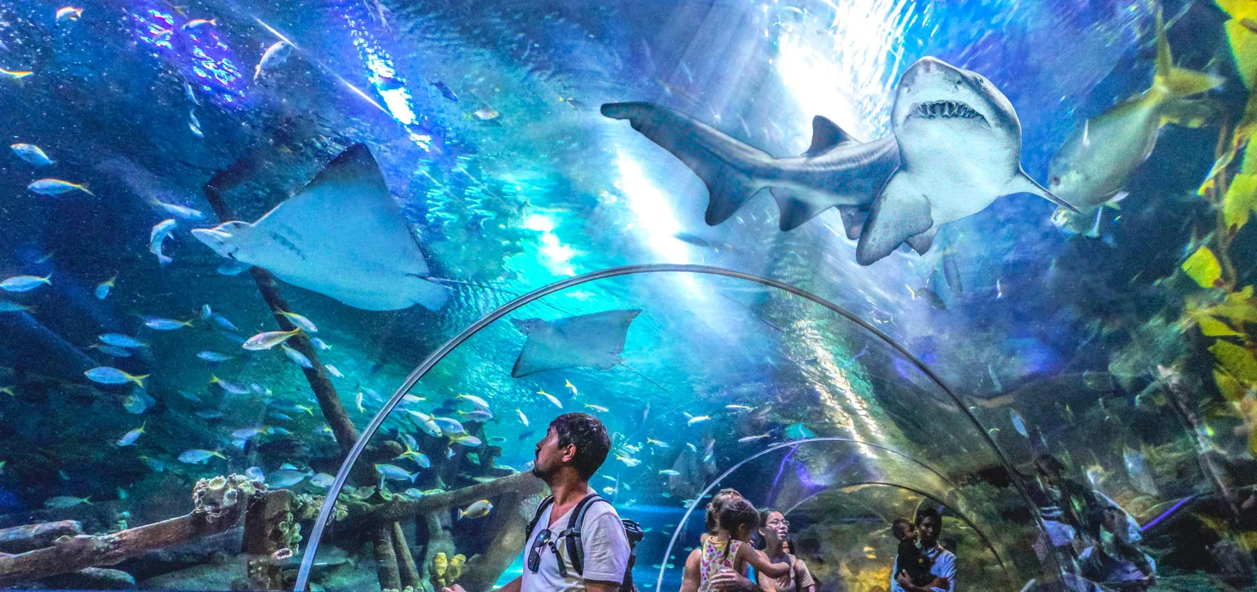 Тоннель океанариума Aquaria KLCC