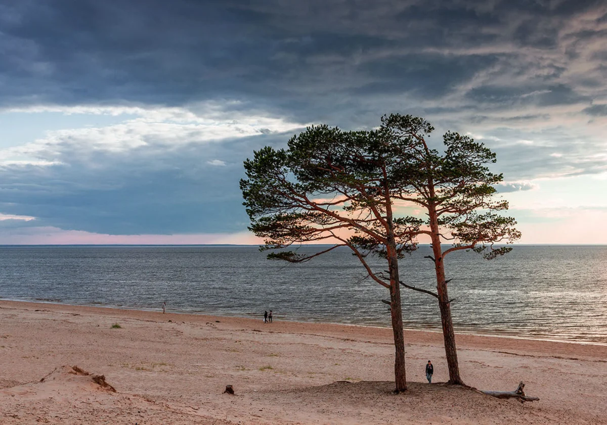 Ягры за день: Белое море, сосновый бор и деревянная тропа — фото 1