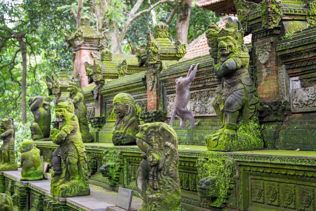 Каменная архитектура среди деревьев Monkey Forest