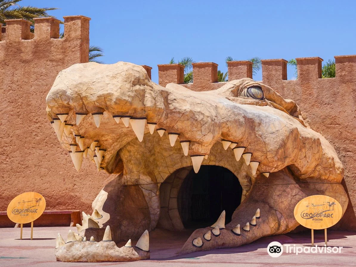 Crocoparc в Агадире: ботанический сад и прогулка среди крокодилов — фото 1