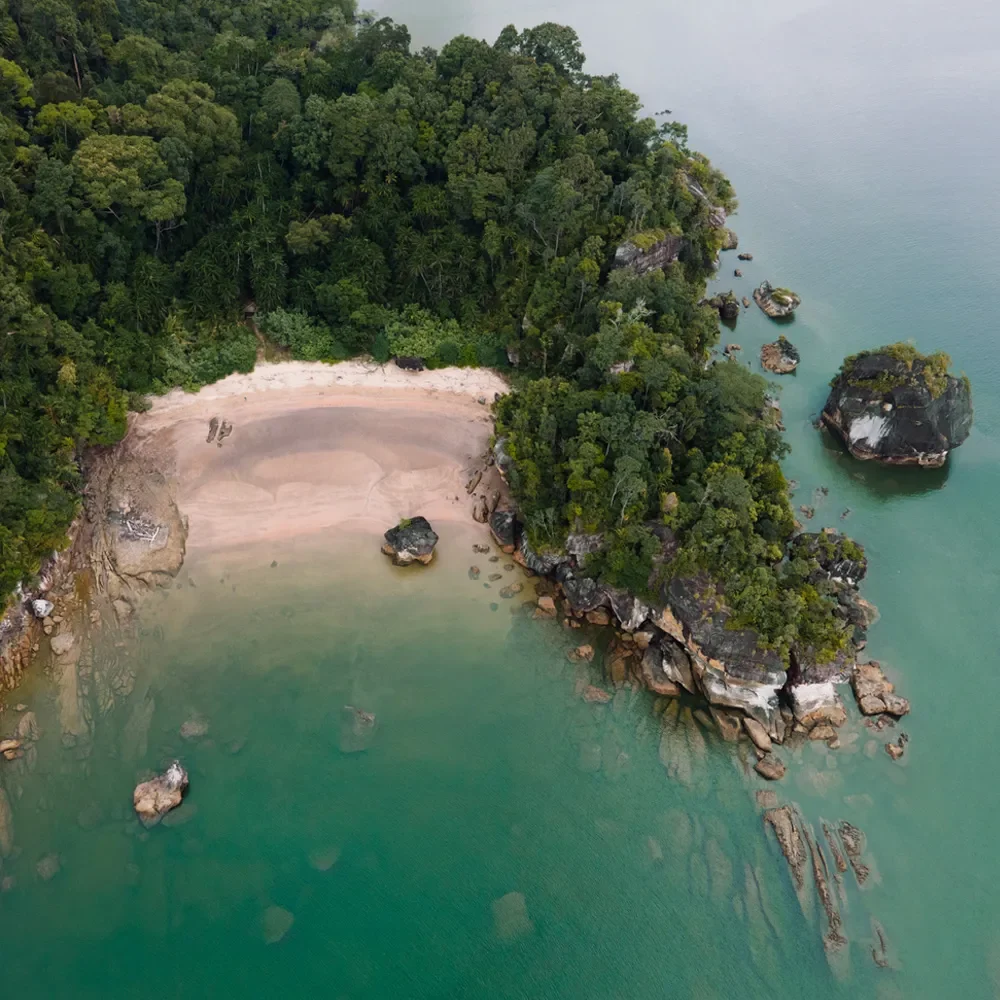 Бако на день из Кучинга: мангры, лесные тропы и лодка к берегу — фото 1