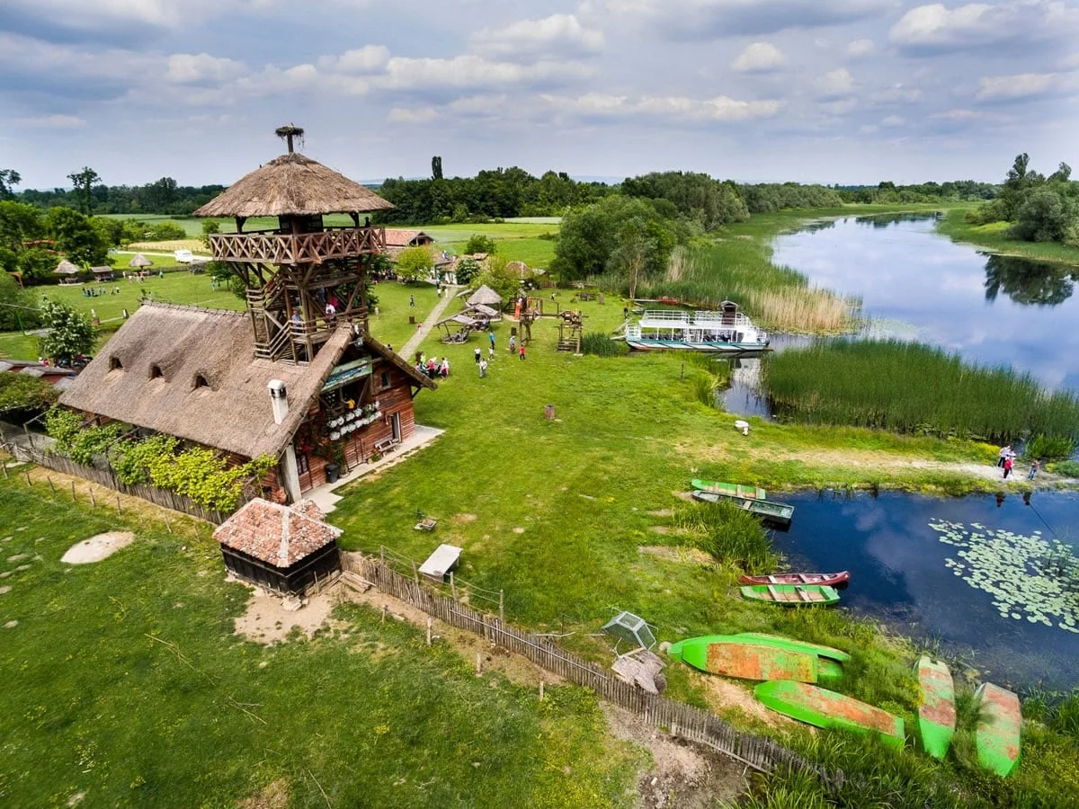 Засавица: речная прогулка, птицы и день в заповеднике — фото 1
