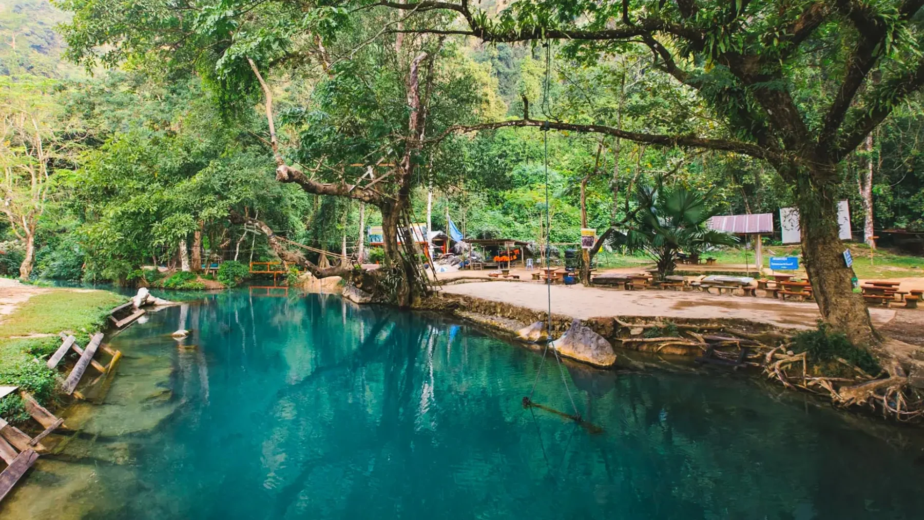 Blue Lagoon 1 среди деревьев