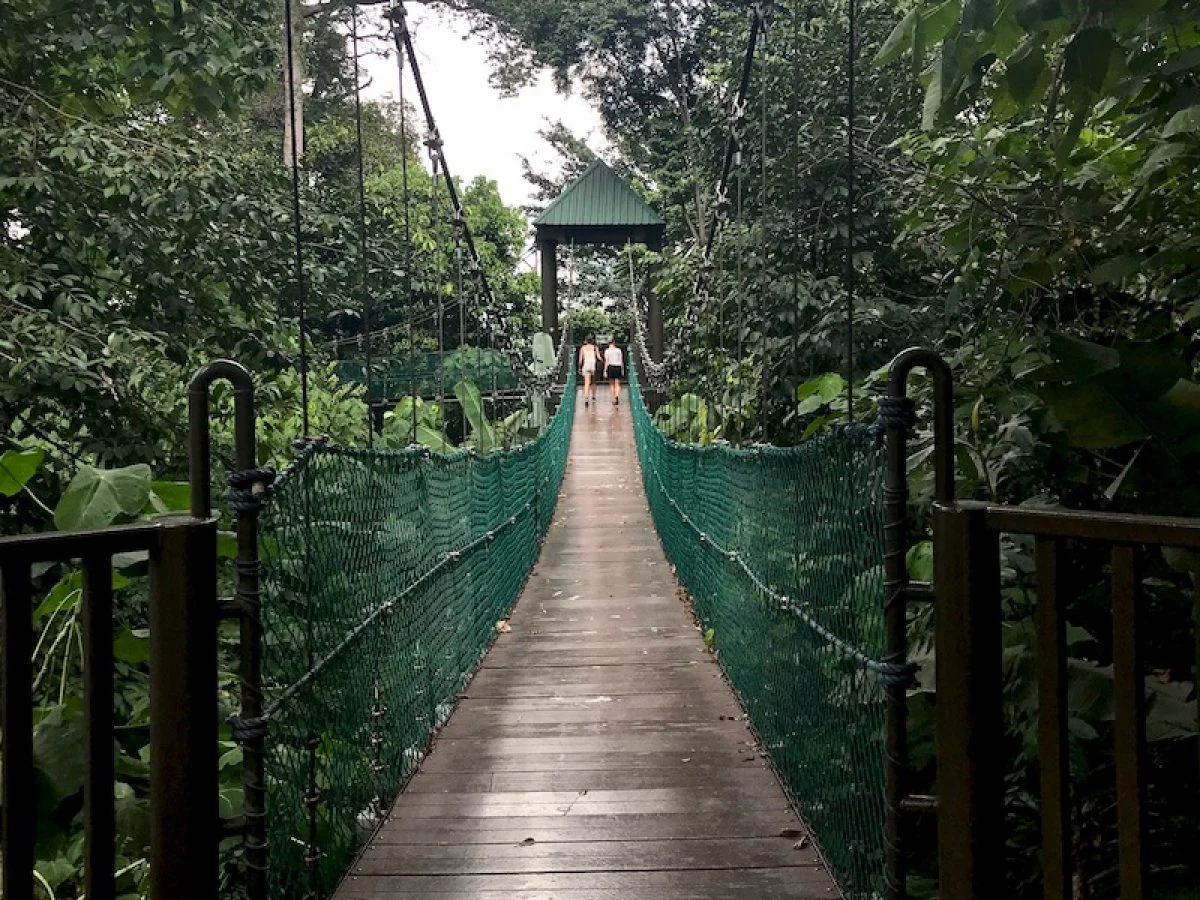 Подвесная дорожка KL Forest Eco Park