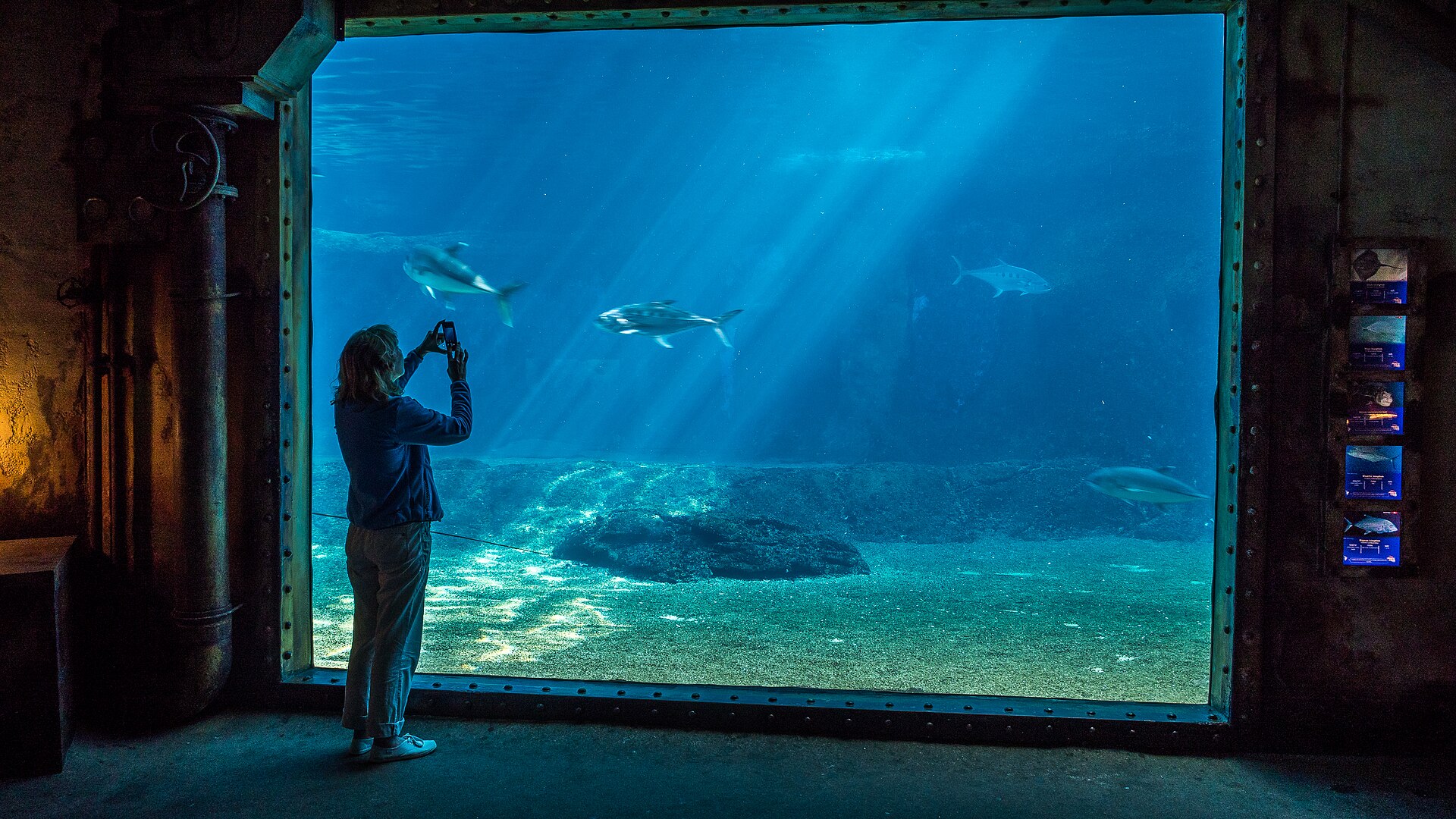 Большой аквариум uShaka Sea World