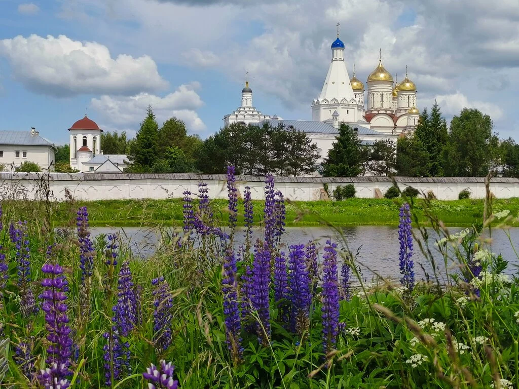 Люпины у Болдинского монастыря